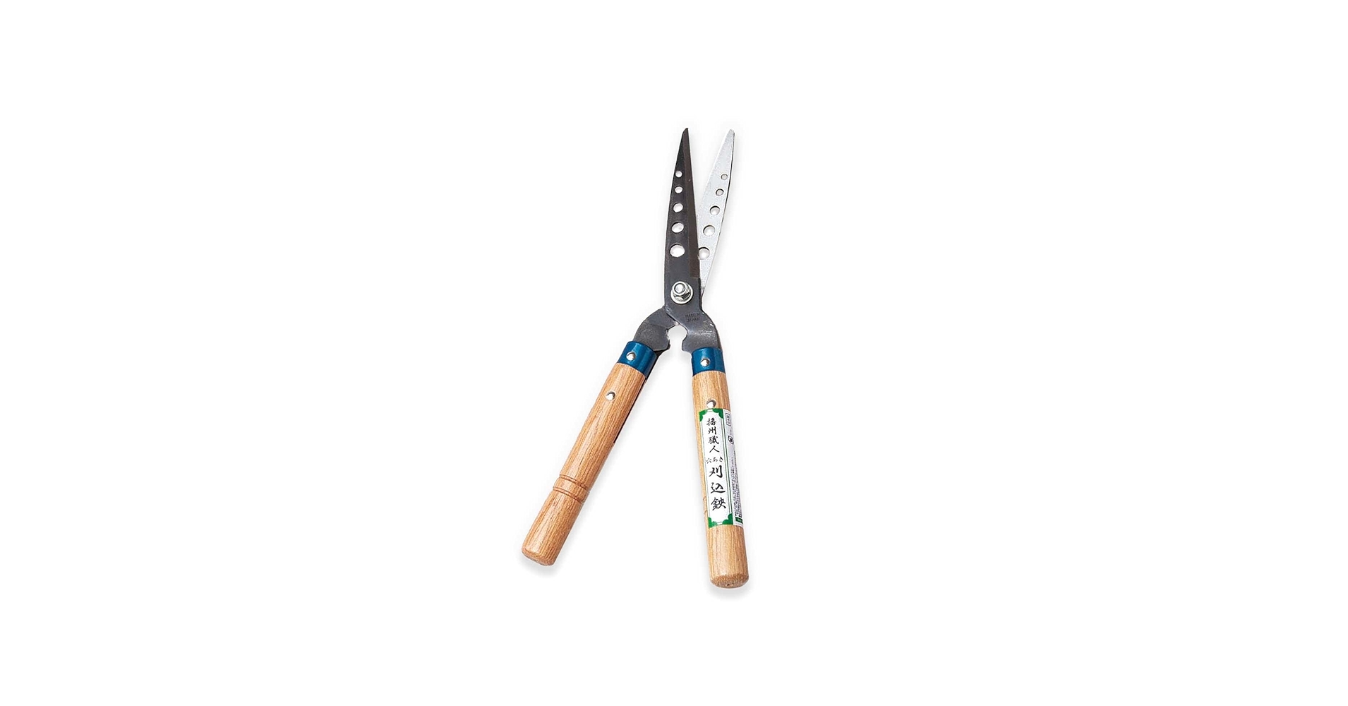 51mC1mTXVzL.jpg_BO30,255,255,