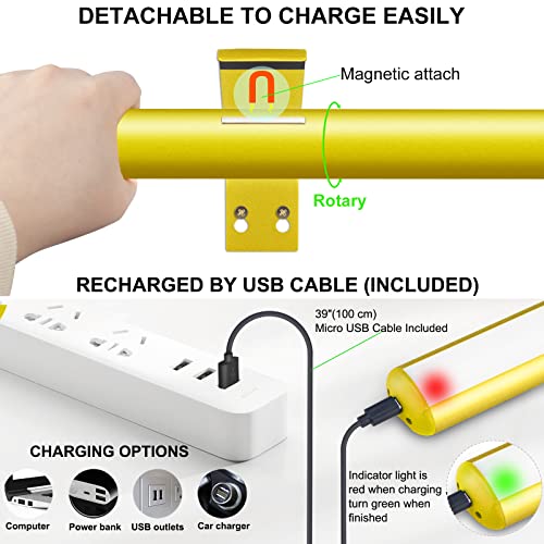 Kanesiki Wireless Picture Light Battery Operated, Rechargeable Painting Light With Remote, Dimmable Display Lamp With Timer For Picture Frame Portrait Art Dartboard Gallery, 180 Lumens, 16 Inch, Gold #TOP4