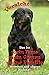 Produktbild +++ ROTTWEILER - Metall WARNSCHILD Schild Hundeschild Sign - RTW 17 T1