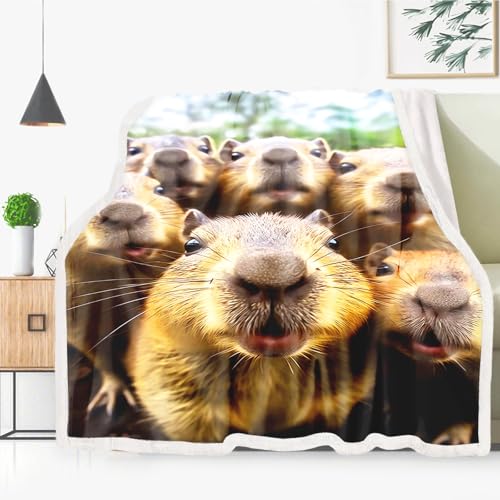 Couverture capybara cadeau original plaid douillet dessin animé enfant