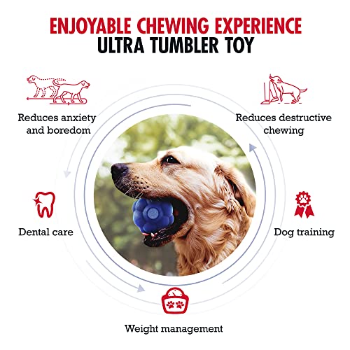 SuperChewy Tough Tumbler Ball Toy Strong Natural Rubber | Smear Treats Inside to Excite Dogs | Ultra Durable Chewing Toy for Aggressive Chewers | for All Breeds SuperChewy Tough Tumbler Ball Toy Strong Natural Rubber | Smear Treats Inside to Excite Dogs | Ultra Durable Chewing Toy for Aggressive Chewers | for All Breeds