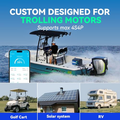 HeyFuture 12V 100Ah Bluetooth LiFePO4