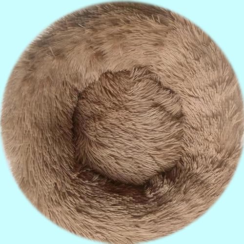 [ADSNS] NbV ^ ^p Lxbh xbh ybgxbh zc Q NbV lR ی^ ʔN ybgpi ~ ې􂢂ӂӂ ~` 킢 50 ی^ J[5 ybgxbh  L xbh NbV }bg