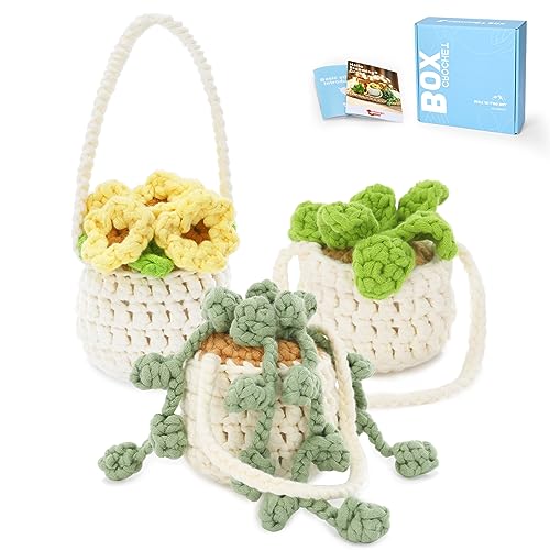 CrochetBox Kit de ganchillo para principiantes: kit de ganchillo de 3 piezas para colgar plantas en maceta, kit de ganchillo para principiantes para adultos y adolescentes, todo lo que necesitas,