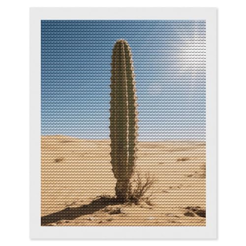 Loisir créatif adulte kit peinture diamant 5D complet avec strass