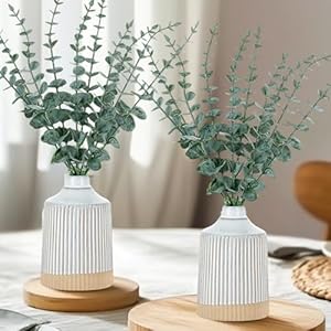 BLOSMON Boho Room Decor Plant: 2 Va...
