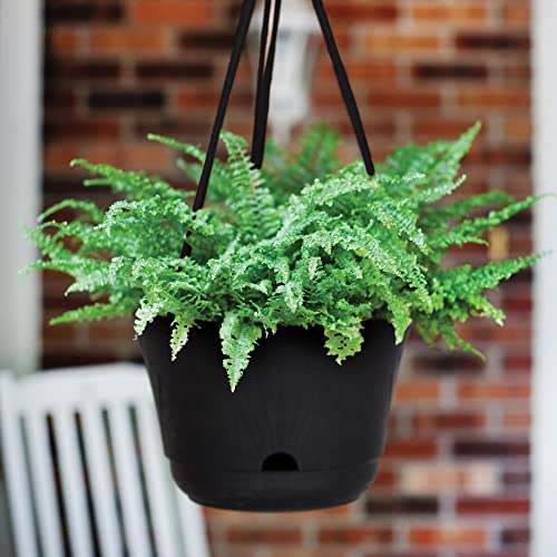 Bloem Lucca Self Watering Hanging Basket, 13", Black #TOP3