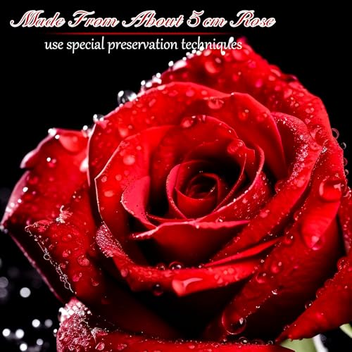 Miniatura 2 de Mestectpet Cajas De Rosa Eternas, Caja De Regalo De 4 Rojas Rosas Natural Preservada, Día De San Valentín Aniversario Día De La Madre Cumpleaños Regalo Romántico Para Esposa Novia Mamá Abuela