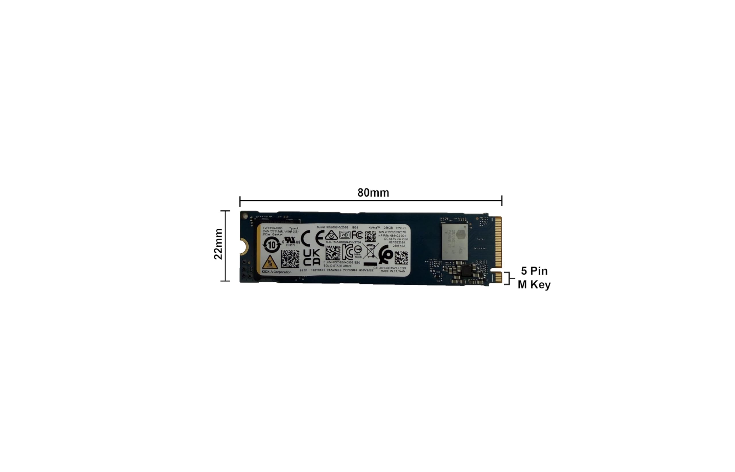 Amazon.com: KIOXIA SSD 256GB BG6 NVMe PCIe Gen4 x4 M.2 2280