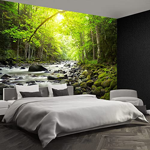 Papier Peint Rivière montagneuse Résistant pour Masquer les Défauts Mur - 4