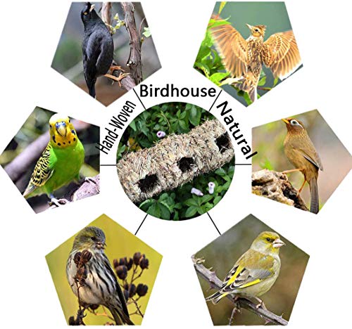 Tfwadmx Hand Woven Hummingbird Houses Nest, Small Hanging Audubon Birdhouse Grass Bird Houses For Outside Hanging Bird Grass Hut For Wren Sparrow Finch Canary Chickadee 2Packs #TOP5