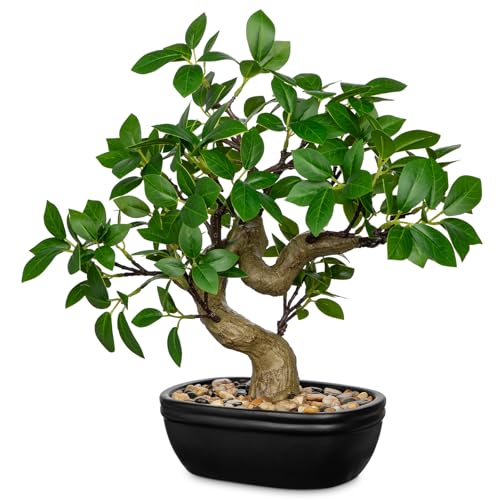 Briful Künstlicher Bonsai Baum im Topf 33 cm Immergrüne Ficus Kunstpflanze mit Natursteinen Dekorativer Kunstbonsai Tischdeko für Wohnzimmer Büro & Ganzjahres-Dekoration