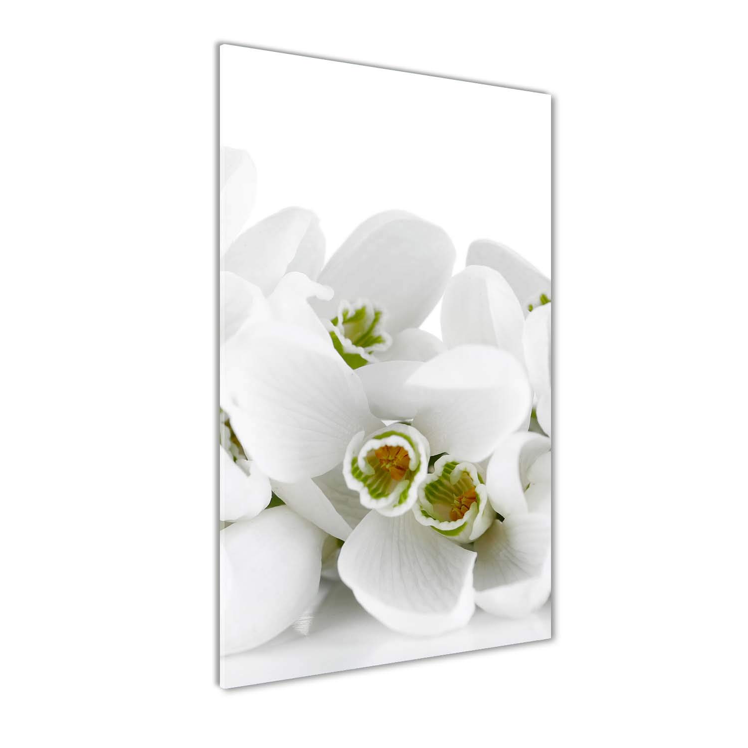 Photo sur verre panoramique fleurs et plantes blanche Tableau deco salon et cuisine 60x120 cm