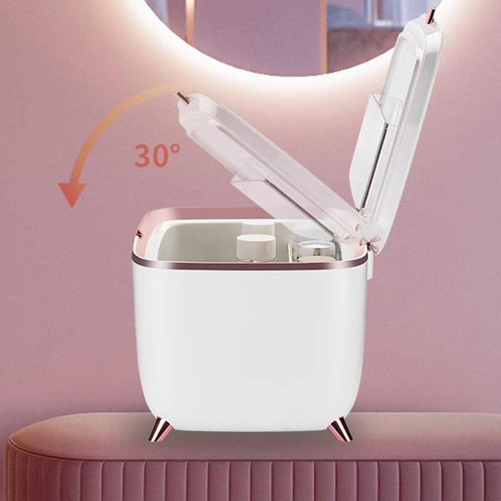 Beauty Portable Personal Mini Refrigerator Cosmetic Mirror Refrigerator Suitable for Bedroom Dormitory car for Skin Care and Cosmetics