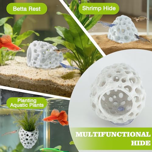 Image of Shrimp Dome Hide, Shrimp Hides for Aquarium, Betta Fish Hideout with Suction Cup, Betta Habitat Tank Ornament Accessories, Aquarium Decor for Small Fish Guppy Hiding Resting (White)