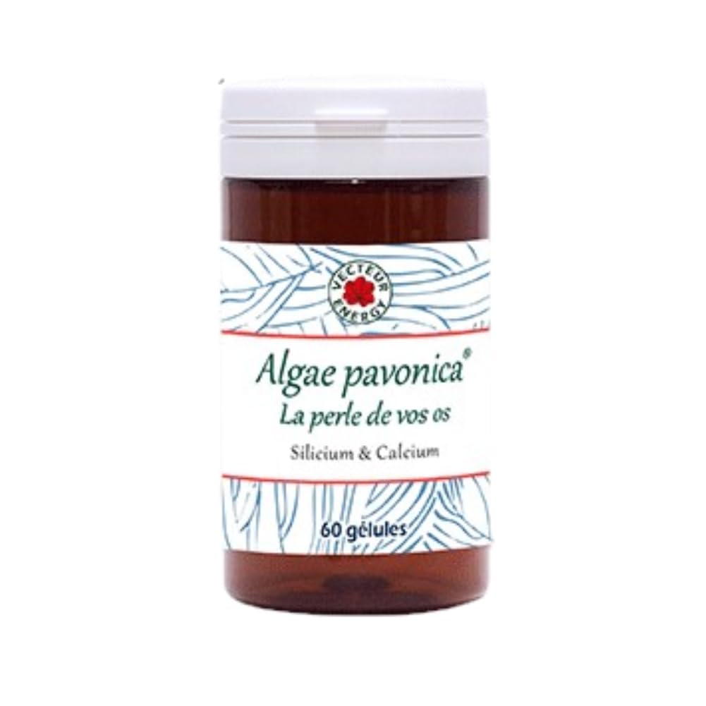 Algue Padina Pavonica 60 gelules ALGAE Vecteur Energy.