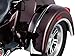 Kuryakyn 7216 Motorcycle Accessory: Top Fender Accents for 2009-19 Harley-Davidson Trike Motorcycles, Chrome, 1 Pair , Black