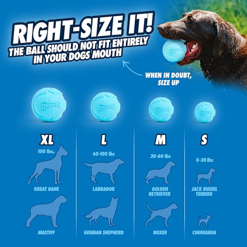 Chuckit! CH 0520320 Rebounce Ball Medium 2-er Pack