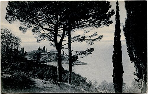 Primi '900 Gardasee Motiv Bel San Vigilio Panorama Costa Paesaggio FP B/N Cartolina Postale