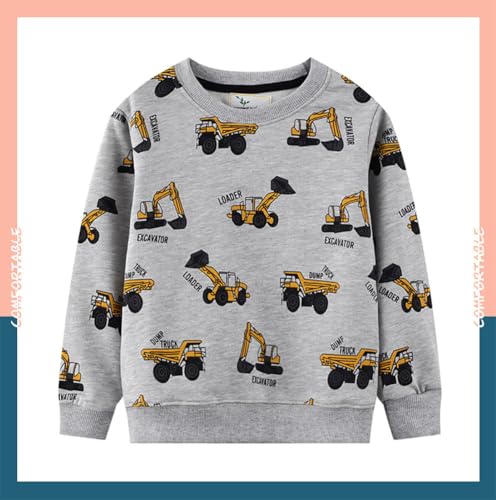Boys Sweatshirts Casual Sweatshirts Cotton Sweatshirts Long Sleeve T-shirts Crew Neck Cartoon Tops for Boys-5333