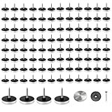 QLK 100 Stück Spiegelschrauben, Zierschrauben Spiegelschrauben Edelstahl mit Unterlegscheiben, Zierschrauben Silber für Tische, Badezimmerplatten,Glas, Spiegel Holz Dekoration