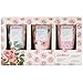Cath Kidston Beauty Freston Cassis & Rose Beauty Starter Set (50ml Handcreme, 50ml Bodylotion und 50ml Duschwäsche)