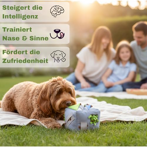 Petural® Sniffix - Der 8-in-1 Schnüffelwürfel | Intelligenzspielzeug für Hunde | interaktives Hundespielzeug | Hundespielzeug Intelligenz | Schnüffelball Hund | Hunde intelligenzspielzeug