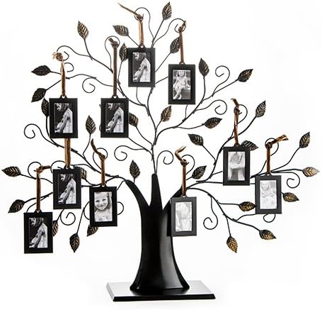 Amazon Com Klikel Family Tree Picture Frame Display With 10 Hanging Picture Photo Frames Amazon Com Klikel Family Tree Picture Frame Display With 10 Hanging Picture Photo Frames