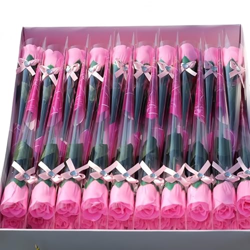 30{ \[vt[ KN  ʕ Ziuuihu ͂Ȃ Mtg sN Ǝ   ԑ̑ ԑ  ({-sN 30{) [sAi]