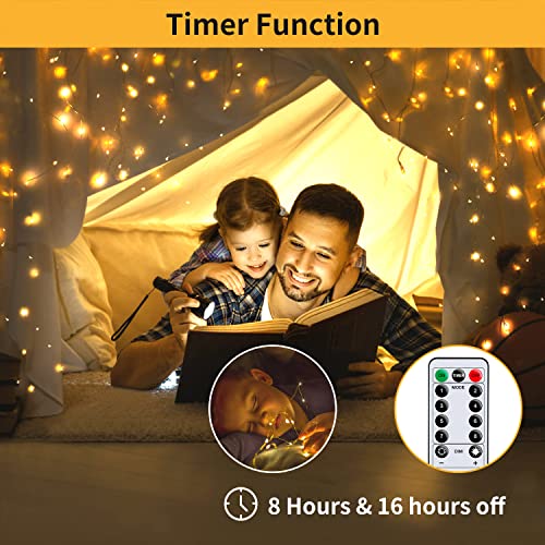 Hoteril LED USB Lichtervorhang 2.4mx1.8m, Lichterketten vorhang mit 8 Modi mit Fernbedienung Timer, IP65, verstellbare Helligkeit Lichterkettenvorhang für Deko, Garten, Pavillon, Party, Schlafzimmer