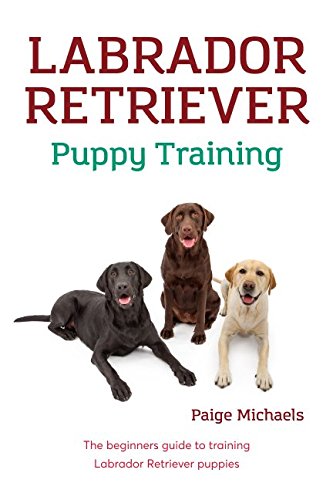 Labrador Retriever Puppy Training: The beginners guide to training Labrador Retriever puppies