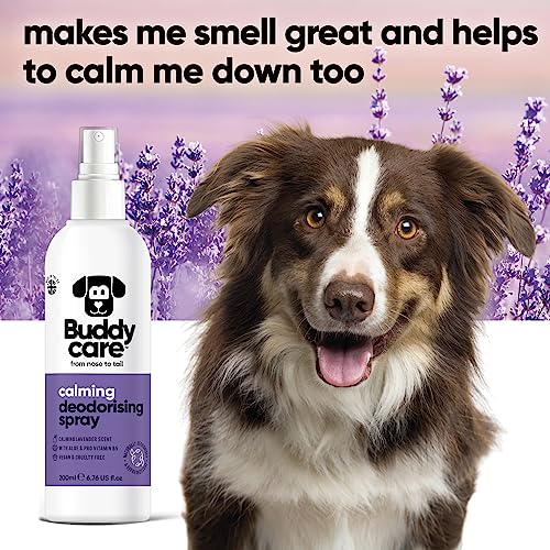 Buddycare Hunde-Desodorierungsspray – Lavendel – Beruhigendes Desodorierungsspray für Hunde – mit Aloe Vera und Pro-Vitamin B5 (200 ml, 1 Stück)