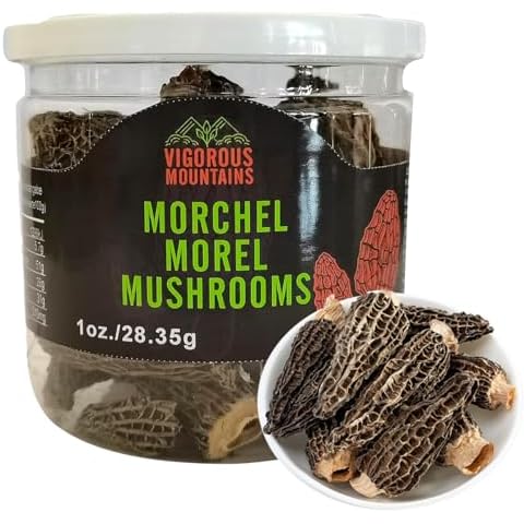 VIGOROUS MOUNTAINS Dried Morel Mushrooms Cover