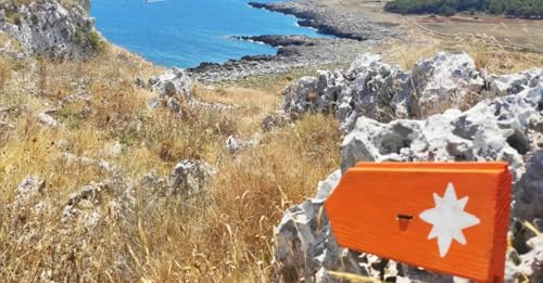 『Puglia: dal Cammino del Salento alle donne che scelgono di partire a piedi』のカバーアート