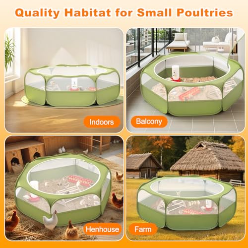 Image of Pawaboo 6-in-1 Chicken Brooder Box for Chick Starter Kit