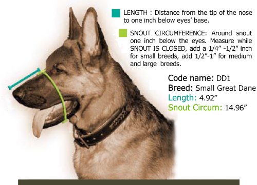 Dean And Tyler Royal Basket Leather Muzzle, Small Great Dane #TOP1