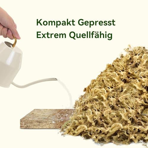 Halatool 500g Sphagnum Moos für Pflanzen,Natürliches Langfaser Torfmoos – Ansicht 5