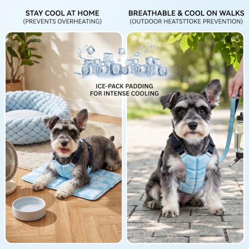 Chaleco de enfriamiento para perros pequeños con arnés integrado verano 4