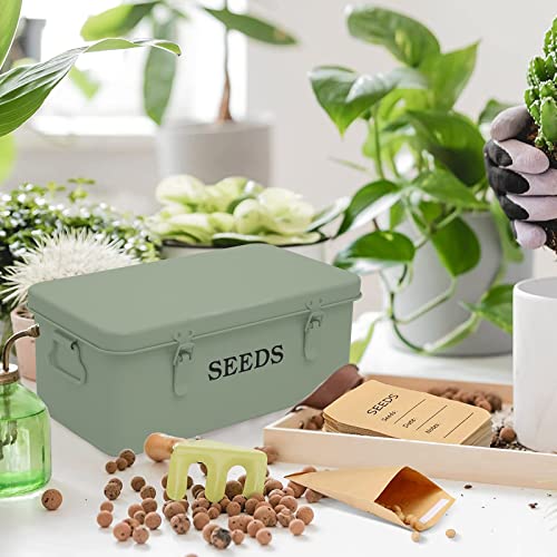 Seed Storage, Metal Seed Box, Seed Storage Organizer Box with Lid & Handle - Image 4