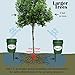 Tree I-V 3-pk Fill & Haul Root Feeder Watering System - Includes Plug & Lid - All Features of Base System with Additional Benefit of Reaching Remote Trees