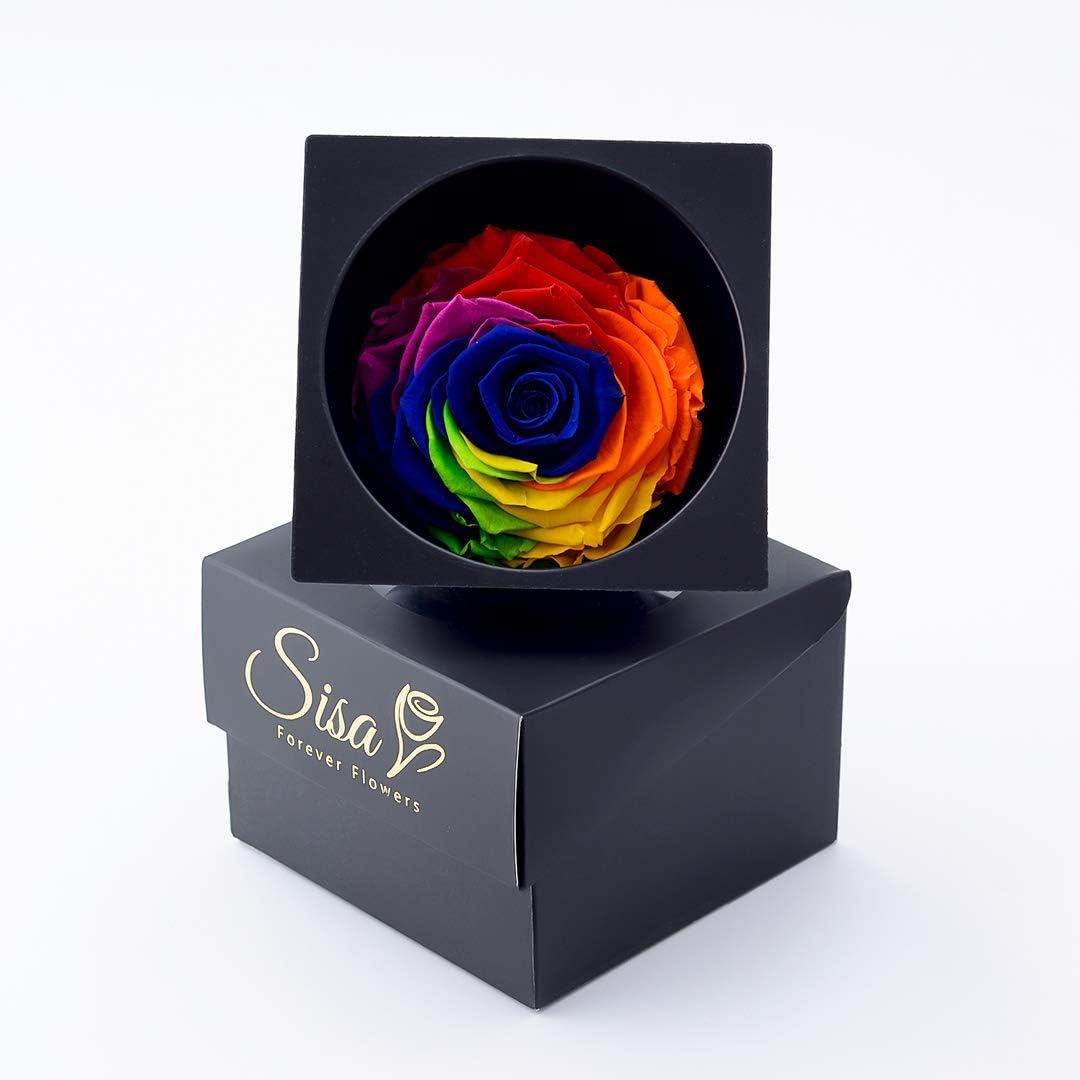 Forever Love Rose Gift Box, Enchanted Real Rose, Eternal Handmade Preserved Rose Flower for Women,Wife, Girlfriend on Valentine's Day, Birthday, Mother's Day. (Multicolor)