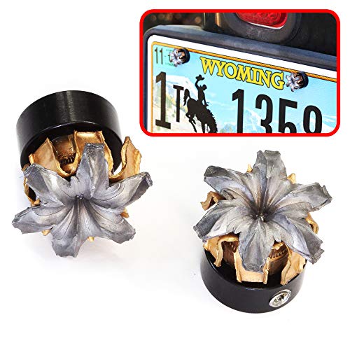Automotive License Plate Security Bolts by Bullet Bouquets