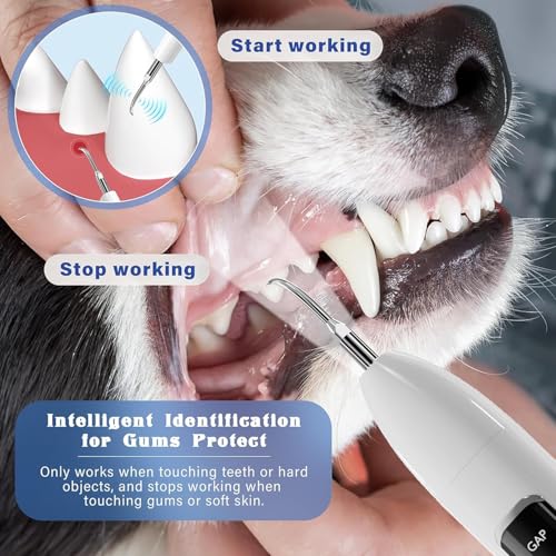 Image of SIRGAWAIN Pet Ultrasonic Dental Cleaner - Plaque, Tartar & Stains Remover, 4 Tips, 3 Modes, LED, Contact-Activated & Smart Touch Protection, Complete Cleaning Kit for Dogs & Cats (White)