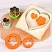 Stainless Steel Sandwiches Cutter set, Mickey Mouse & Dinosaur & Heart & Star Shapes Sandwich Cutters Cookie Cutters Vegetable cutters-Food Grade Cookie Cutter Mold for Kids Suitable for Cakes Sandwic