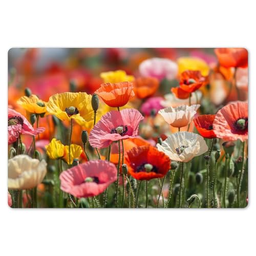 KitchenYeah© Placemats para Mesa Comedor Set 6 45x30 cm Manteles Individuales Lavables PVC Antideslizantes Estilo Elegante Campo De Flores - Amapolas - Colorido