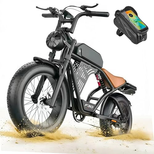 Electric Bike for Adults & Teens,2000W Peak Motor 32 MPH