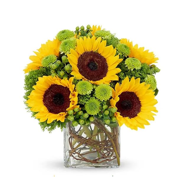 IFG's Arrangement of 4 Yellow Sunflower in a vase | Send on Birthday, Anniversary, Mother's Day, Father's Day, Valentine, Retirement | Delivery in 4 hrs-image-39
