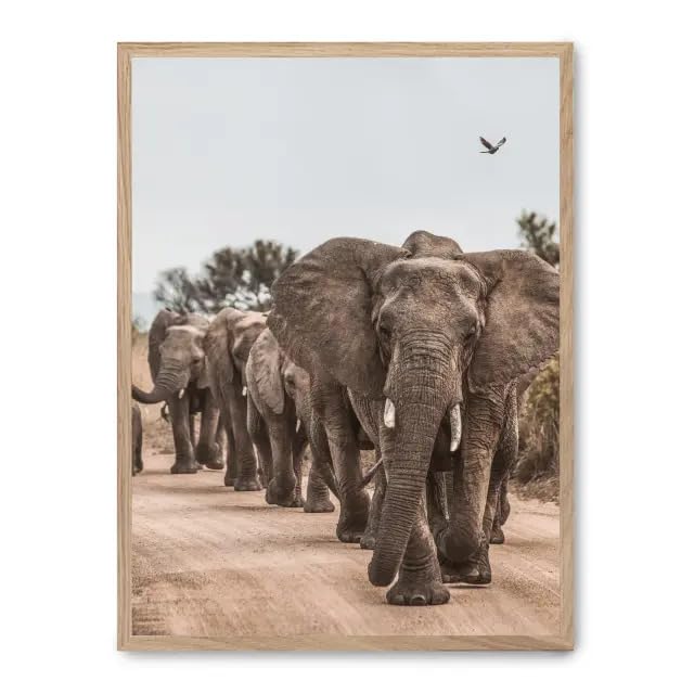 Cuadro elephant herd ii créez une ambiance safari chic dans votre salon FASE5