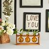 Estación de propagación de plantas de vidrio Kingbuy - 3 jarrones de colores con soporte de madera retro, jardinera interior para plantas, decoración de pared o escritorio para hogar, cocina, boda, regalo para amantes de las plantas, ámbar 4