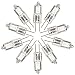 eTopLighting (10 Pack) G4-12V-10W Clear Halogen Light Bulbs, G4 Base, 120 Volt 40 Watt JC Type Long Life, G4-12V-10W(10)